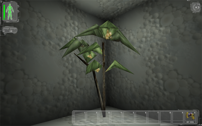 plant3m.png